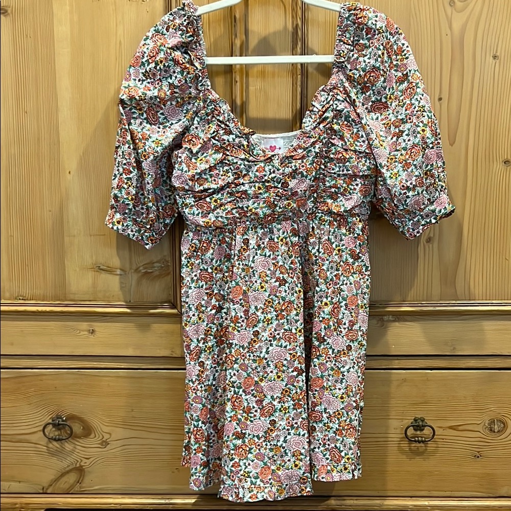 NWOT Buddy Love Floral Mini Dress - Pink and Green